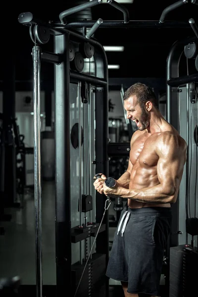 Biceps cable curls in gym — Stock Photo, Image