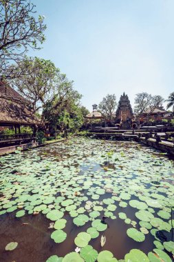 Lotus temple Bali