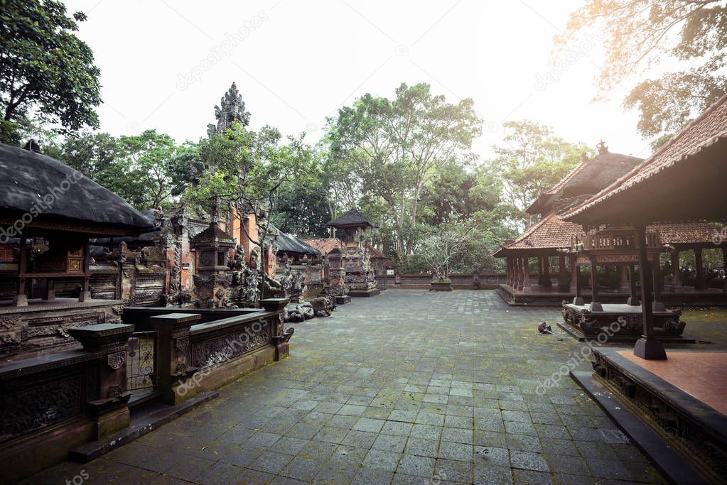 Monkey temple in Ubud, Bali