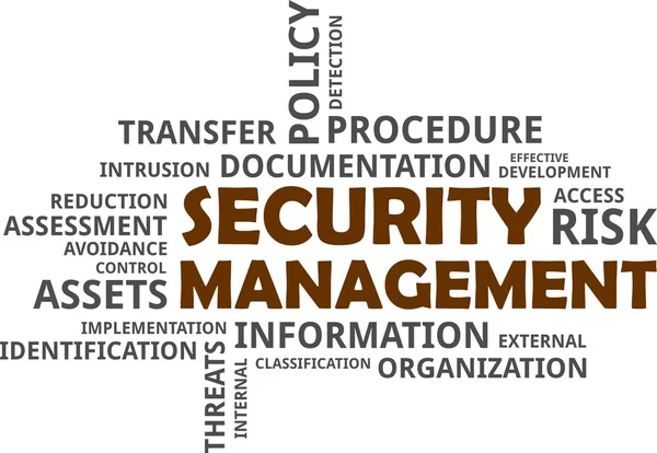 Word cloud - gestione della sicurezza — Vettoriale Stock