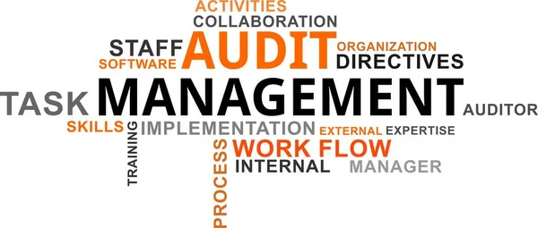 Word cloud - audit management — Stock Vector