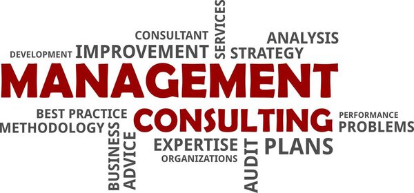 A word cloud of management consulting related items