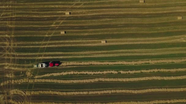 农业机械在阳光灿烂的日子里喷出一捆捆干草. 麦田里的草堆立方体. 做干草立方体。 拖拉机在田野里漫游，用干草做立方体. — 图库视频影像