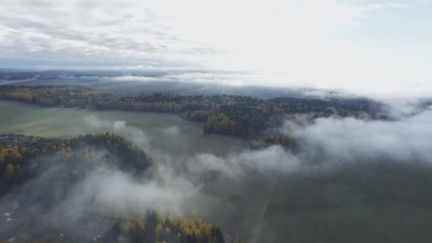 Nuvens baixas sobre a floresta e o campo no outono — Vídeo de Stock