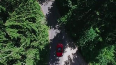Ormanda ülke yolunda kırmızı araba sürüş havadan görünümü.