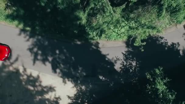 Aerial view of red car driving on country road in forest. — Stock Video