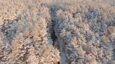 Gün batımı, hava çekimi, kış ormanı ve nehir.
