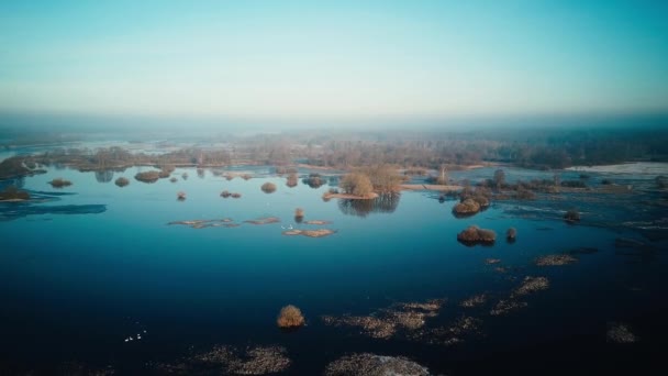 Volando sobre la superficie del lago. Drone vuela para pájaros — Vídeo de stock