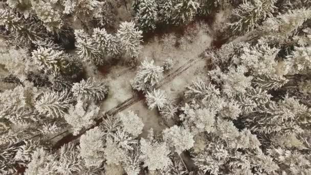 Landstraße im verschneiten Wald im Winter, Luftaufnahme von der Drohne. malerische Winterlandschaft. 4k — Stockvideo