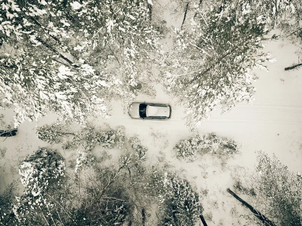 空中的风景在冬季的道路上，道路被树木环绕，车辆在冬季驾驶。 农村冬季地区 — 图库照片