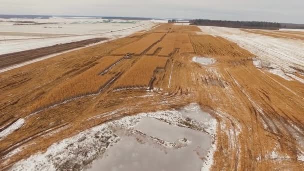 Getreidefeld mit frühem Schnee, Luftaufnahme. — Stockvideo