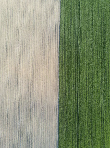 Scenic agricultural fields. Aerial view. — Stock Photo, Image