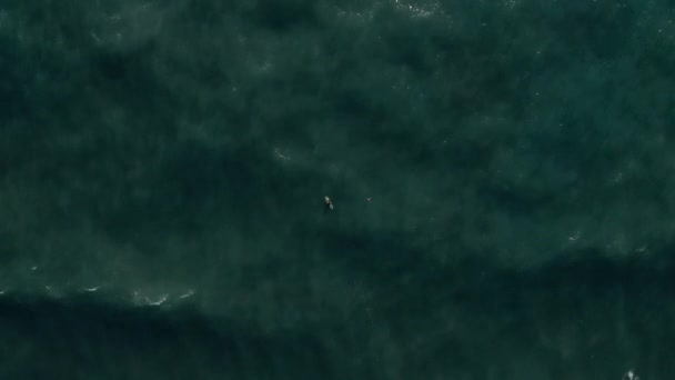 Plano aéreo de surfista esperar las olas, sentado en una tabla de surf — Vídeo de stock