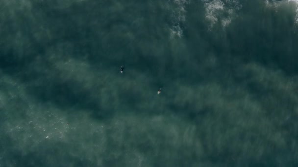 Imágenes aéreas de personas que están surfeando. Esperando la ola. Drone. Vista desde arriba — Vídeos de Stock