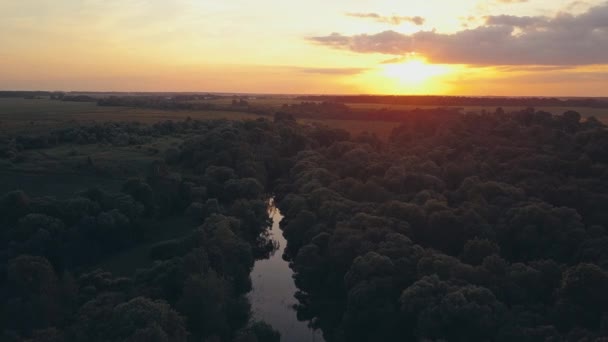 Vista aérea: Vuelo sobre el hermoso río y el bosque verde. Luz suave puesta de sol con cielo nublado pastel . — Vídeos de Stock