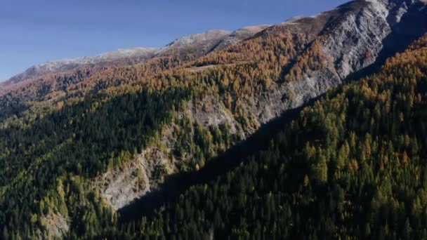 Flight of the drone over the forest and mountains in the early fall. Epic aerial flight through mountains and forest. — Wideo stockowe