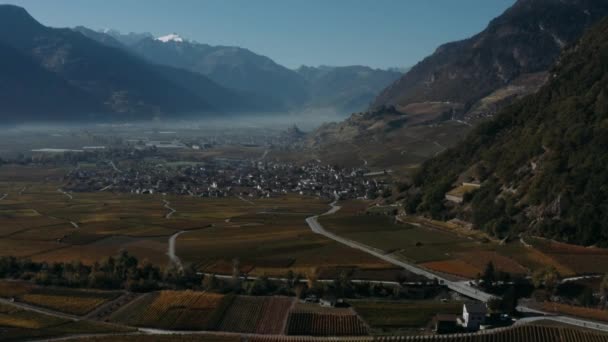 Осінні поля виноградників, місто і гори на задньому плані — стокове відео