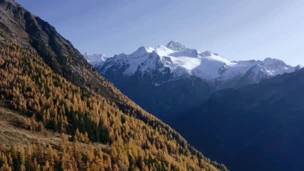 Fliegen in den Bergen, Herbstwald und Berggipfel im Schnee — Stockvideo