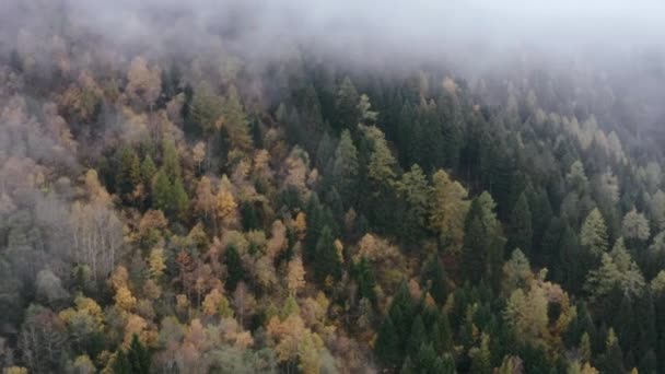 Autumn in the mountains. Autumn hills in the fog. — Wideo stockowe