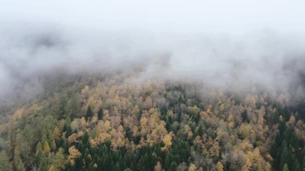 The fog is rolling between mountains over trees tinted in autumn colors — стоковое видео