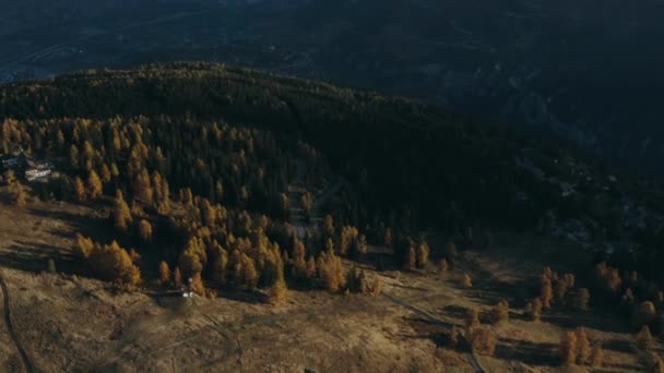 Вид з повітря на звивисту дорогу в осінньому лісі . — стокове відео