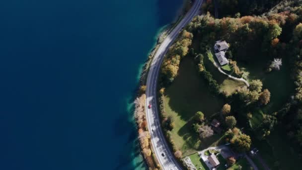 Impressive aerial top view of the road running along the coastline near the autumn forest — Αρχείο Βίντεο