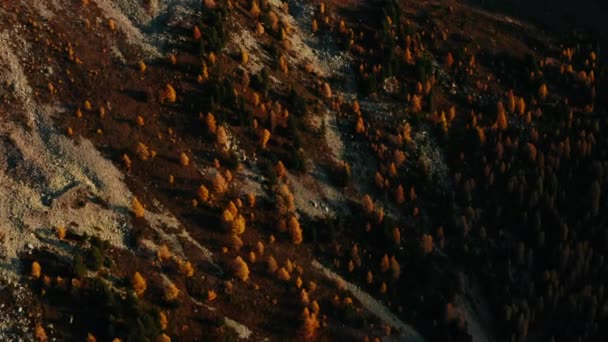 Aerial shot of the enchanting forest in the fall. — Vídeos de Stock