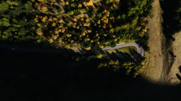 The first rays of the sun. Road in the autumn forest. — Stockvideo