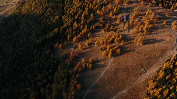 Захід сонця світло над горами з містом між ними. Літаючий сосновий ліс, осінні кольори . — стокове відео