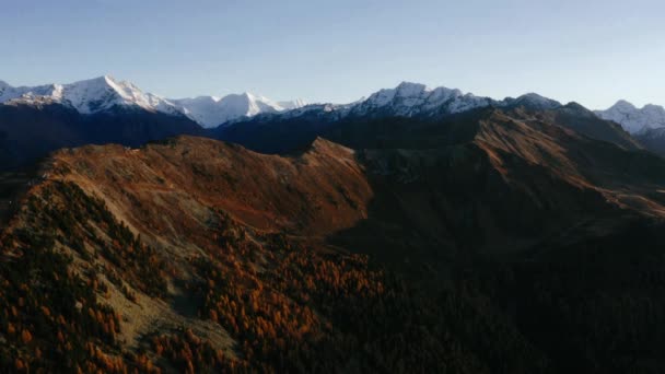 Volando en las montañas, bosque otoñal y cumbres montañosas en la nieve — Vídeos de Stock