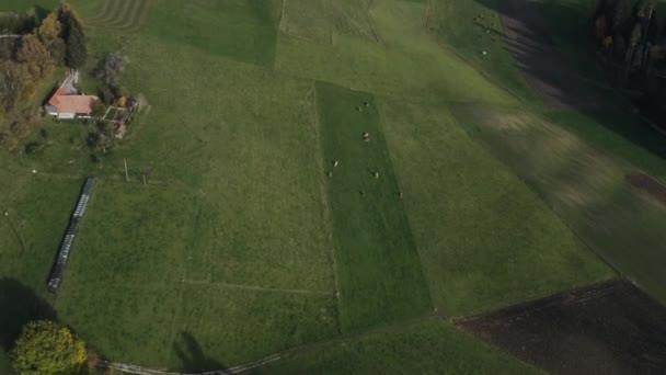 Groene weiden en een typisch Zwitsers dorpje — Stockvideo