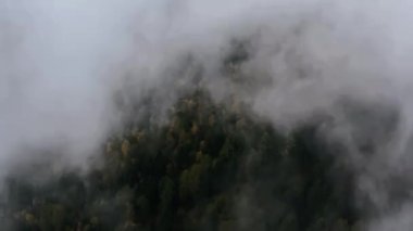 Clouds moving quickly over a mountain. Autumn forest
