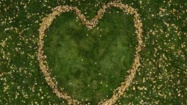 Heart made of yellow leaves. Aerial view.