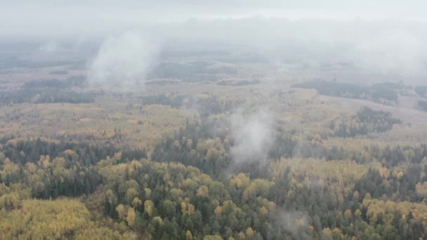 Drone plující přes tajemný podzimní les a polní záplaty pokryté mlhou a slunečným panoramatem. — Stock video