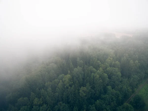 Vue de dessus du brouillard sur la forêt — Photo