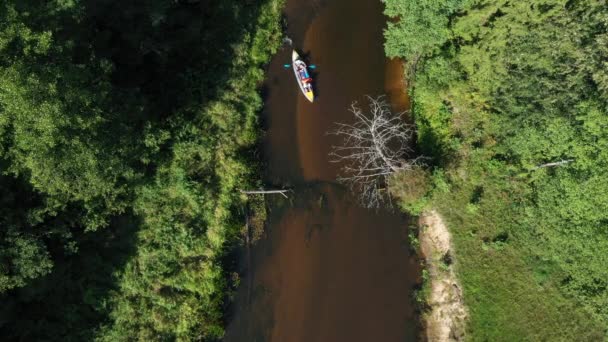 Boats floating on river. Team building — Stock videók