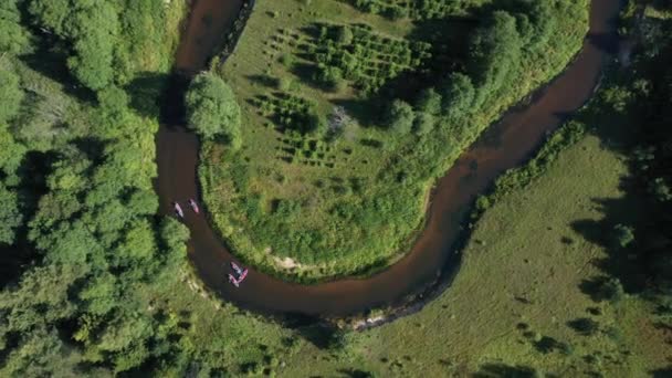 Beautiful 4k aerial video view a trip on kayaks on the river in a circle a lot of trees and greenery — Stockvideo