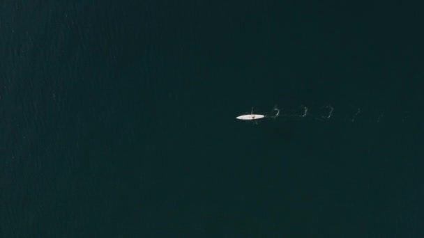 Vista superior do drone aéreo. Man sup surf em remo prancha sup na superfície do mar perfeito. Raquete deixando salpicos na água . — Vídeo de Stock