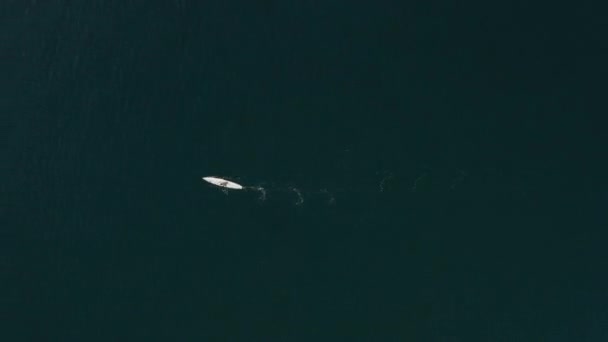 Vista superior del dron aéreo. Hombre sup surf en la tabla de remo sup en la superficie del mar perfecta . — Vídeo de stock