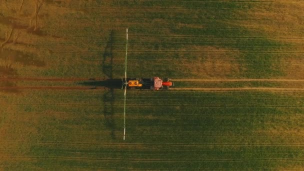 特別な取付けによって緑の分野を灌漑するトラクターの航空写真。げっ歯類、寄生虫、害虫の昆虫に対する農薬と保護で畑の成長を噴霧するプロセス. — ストック動画