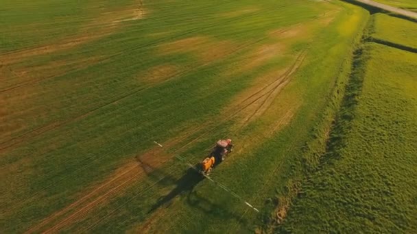 Luchtfoto tractor spuiten van de chemicaliën op het grote groene veld. Besproeien van de herbiciden op de landbouwgrond. — Stockvideo
