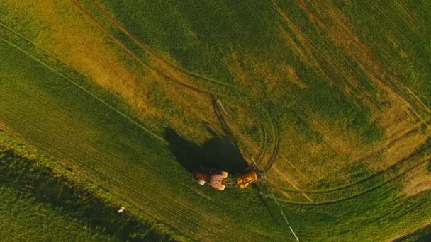 Widok lotniczy ciągnika, który nawadnia zielone pole przez specjalną instalację. Proces rozpylania narośli w terenie z pestycydami i ochrony przed insektami gryzoni, pasożytów i szkodników. — Wideo stockowe