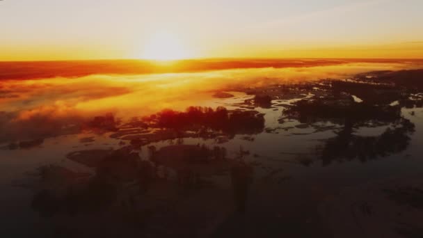 Nevoeiro da manhã em um lago tranquilo nos raios dourados do sol nascente — Vídeo de Stock