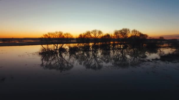 Det är gryning på floden. Reflektion av träd på vattnet — Stockvideo