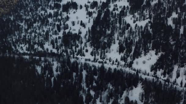 Spoorweg door de berg langs kale bomen in de winter — Stockvideo