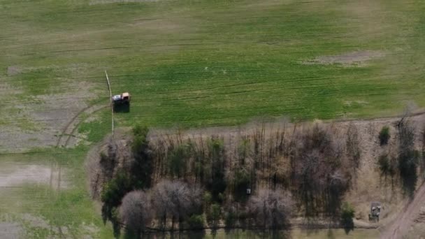 Traktor postřik hnojivo na velkém zeleném poli v blízkosti lesa na jaře. — Stock video