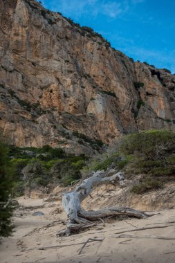 İbiza, İspanya - Eylül 12019: Sa pedrera de Cala de Hort, Atl