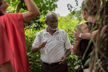 Çay, çay hasadını Handunugoda Çay Evi ve Çay Müzesi 'nde yapar. Ahangama, Sri Lanka