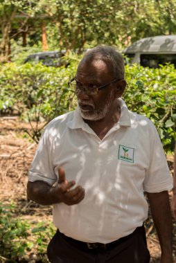 Ahangama, Sri Lanka. 17 Kasım 2019: Handunugoda Çay Evi ve Çay Müzesi 'nde. Ahangama, Sri Lanka