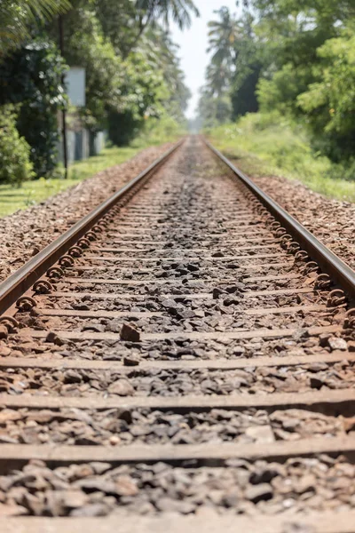 Bentota Sri Lanka 2019 Nov Images Exterior Second Category Train — Stock Photo, Image